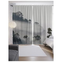 Портьеры JoyArty Туманная баллада на ленте 265 см (p-8688)