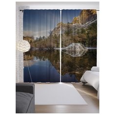 Портьеры JoyArty Зимняя прохлада на ленте 265 см (p-19026)