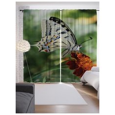 Портьеры JoyArty Бабочка прибыла к цели на ленте 265 см (p-4160)