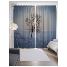 Портьеры JoyArty Пережить холод на ленте 265 см (p-17228)