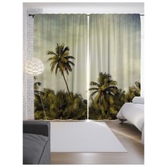Портьеры JoyArty Необычная пальма на ленте 265 см (p-21007)