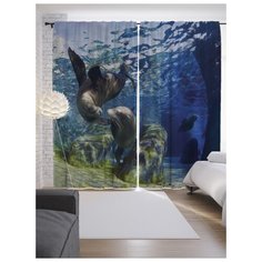 Портьеры JoyArty Морские котики веселятся на ленте 265 см (p-17280)