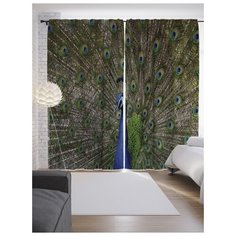 Портьеры JoyArty Грациозный павлин на ленте 265 см (p-8838)