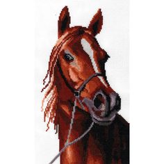 Набор для вышивания крестом "Максимус", арт. A-0016 Nitex