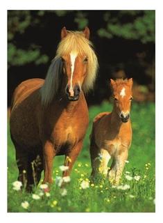 Пазл ravensburger «счастливая семья» xxl 300 элем.