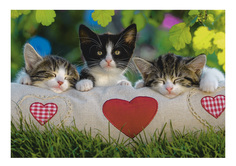 Пазл Ravensburger Котята отдыхают 48 деталей