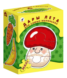 Семейная настольная игра Дрофа Дары лета