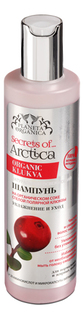 Шампунь Planeta Organica "Secrets of Arctica, Увлажнение и уход" 280 мл