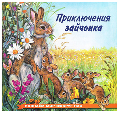 Приключения зайчонка Flamingo