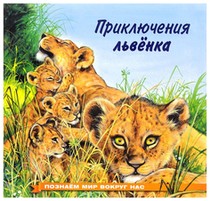 Приключения львёнка Flamingo