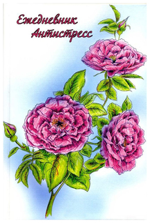 Ежедневник-антистресс Action! 112 страниц, А5, серия-1, ADA-S2