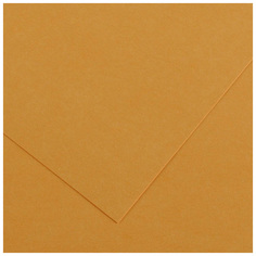 Бумага цветная Canson Iris Vivaldi 120 гр/м2 21 x 29.7 см Оранжевая кожа