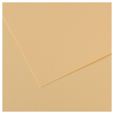 Бумага для пастели Canson Mi-Teintes 160г/м2, 75 x 110см, 25 листов