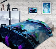 Покрывало стеганое Непоседа "Как приручить дракона" (рисунок: Таинственный мир 16136)