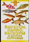 Барбусы, данио, расборы и другие карповые Аквариум Принт