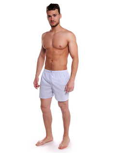 Трусы мужские Sis BS126 белые/голубые XXL