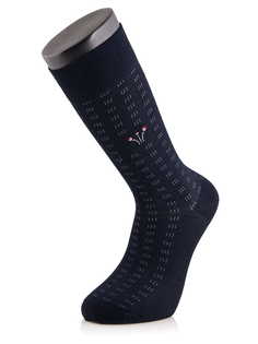 Носки мужские Sis 5057 синие 41-45