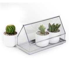 Лоток для выращивания растений Micro Green House прозрачный Qualy