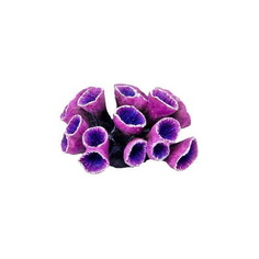 Коралл для аквариума Penn-Plax полиэфирная смола, 13х11,5х6,5 см