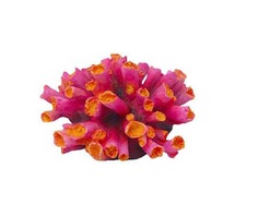 Коралл для аквариума Fauna International пластик, красный, 10х8,5х5,5 см