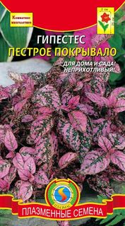 Гипоэстес Пестрое покрывало, 5 шт Плазмас