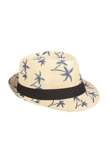 Шляпа мужская Mellizos H10-14M 535-2 бежевая S