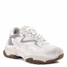 Кроссовки женские Ash ADDICT_5 серо-белые 38 EU