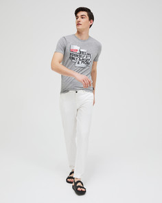 Футболка мужская Sisley 3AAQO12LO_921 серая L