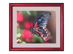 Набор для вышивания бисером Butterfly "Бабочка"