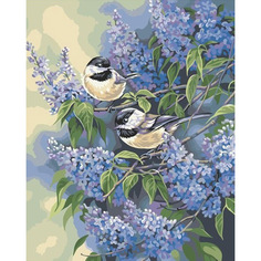 Картина по номерам на холсте 40*50 см Colibri "Птицы в сирени" (VA-1681)