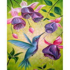 Картина по номерам на холсте 40*50 см Colibri "Колибри" (VA-1401)