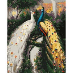 Картина по номерам на холсте 40*50 см Colibri "Павлины" (VA-1615)