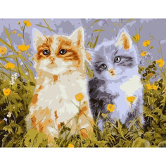 Картина по номерам на холсте 40*50 см Colibri "Два котенка" (VA-1608)