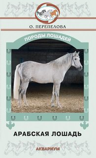 Арабская лошадь Аквариум Принт