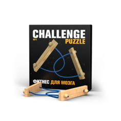 Головоломка IQ Puzzle Challenging Puzzle №1