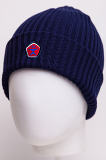 Шапка мужская Запорожец 8W.Y.Z.32.01.009 Navy
