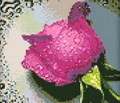 Набор мозаика Алмазная живопись "Бордовая роза"