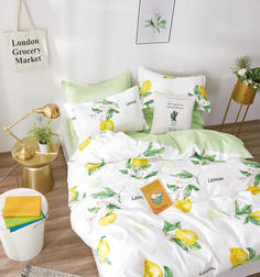 Постельное белье сатин Tango Twill TPIG2-1024-70 2-х спальное