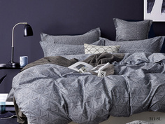 Постельное белье Cleo Music Цвет: Серый (2 спал.)