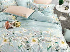 Постельное белье Cleo Goodwin (1,5 спал.)