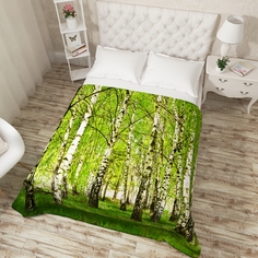 Сирень Покрывало Julianna (200х220 см)