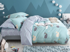 Постельное белье Cleo Kingston (2 сп. евро)