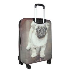 Защитное покрытие для чемодана Gianni Conti 9053 L