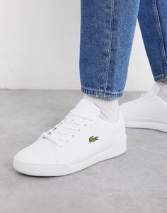Белые кожаные кроссовки с перфорацией Lacoste challenge-Белый