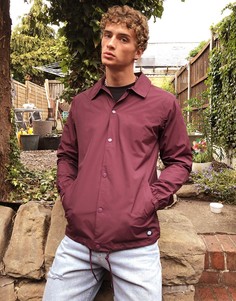 Темно-бордовая спортивная куртка Dickies-Фиолетовый