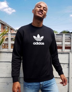 Черный свитшот с большим логотипом-трилистником adidas Originals