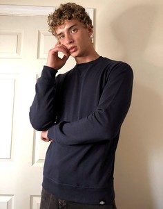 Темно-синий свитшот Dickies