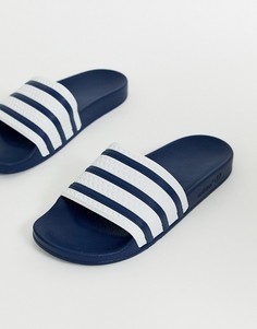 Темно-синие шлепанцы adidas Originals Adilette-Темно-синий