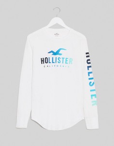 Белый лонгслив с логотипом и эффектом омбре Holister Hollister