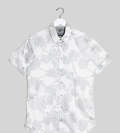Белая рубашка с короткими рукавами и принтом попугаев и листьев Ted Baker Tall-Белый